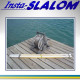 Pregates for Insta-Slalom. Pregates for Insta-Slalom.