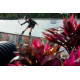 Ronix TOP NOTCH PRO PARK BOARD Ronix TOP NOTCH PRO PARK BOARD
