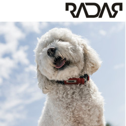 Radar Dog Collar