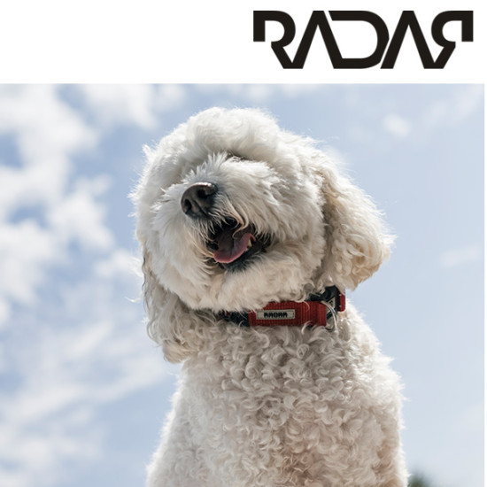 Radar Hund Halsband