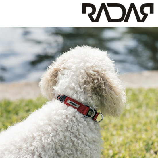Radar Hund Halsband