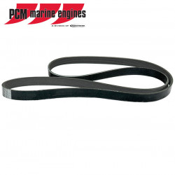 PCM Belt Serpentine (5.0/5.7L) R066028